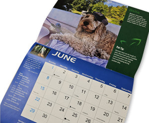 Lucky Dog Wall Calendar