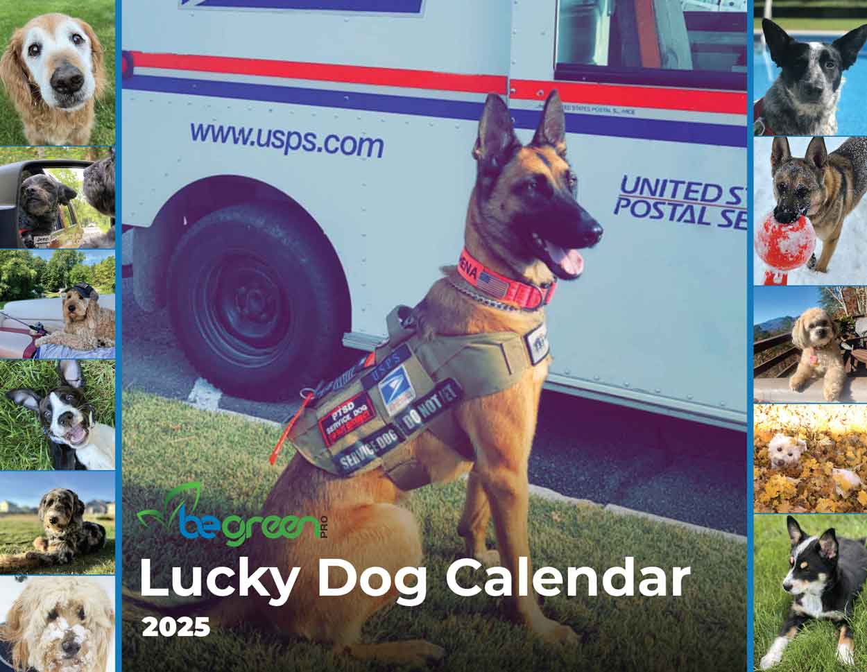 Lucky Dog Wall Calendar