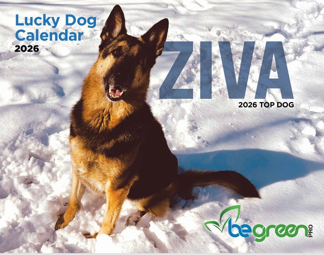 2026 Lucky Dog Wall Calendar